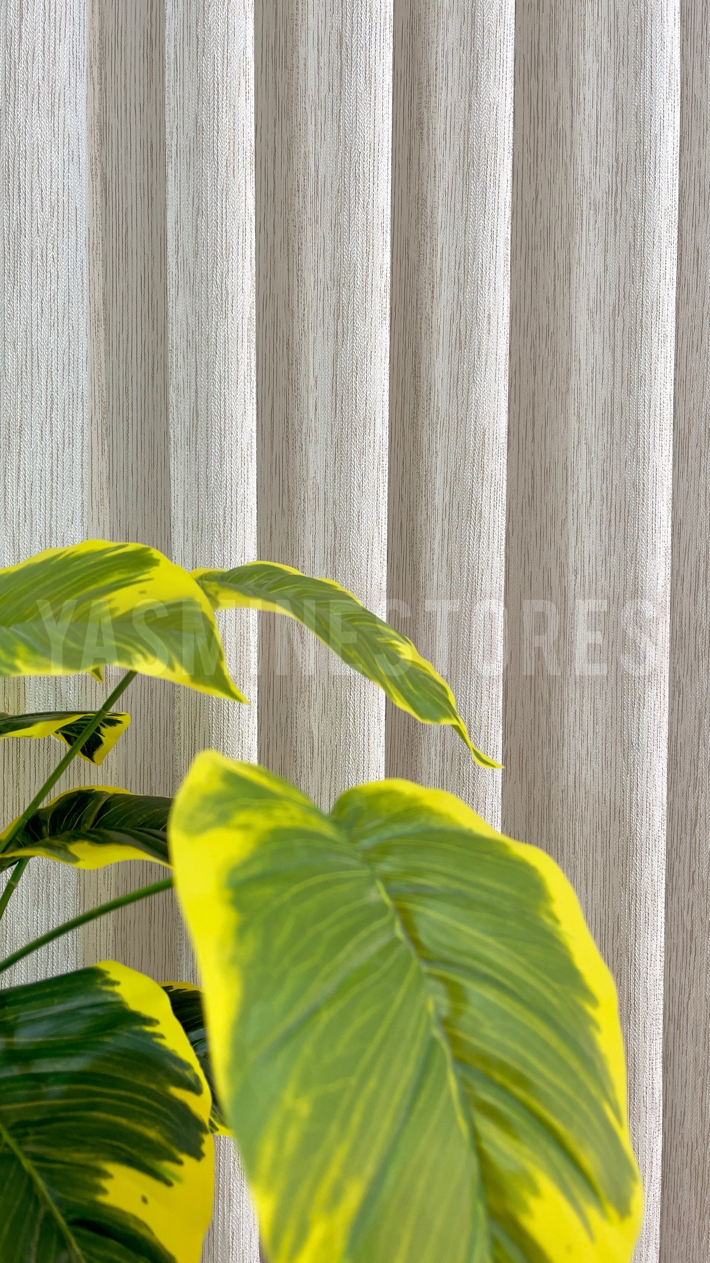 Rideau au fil jacquard